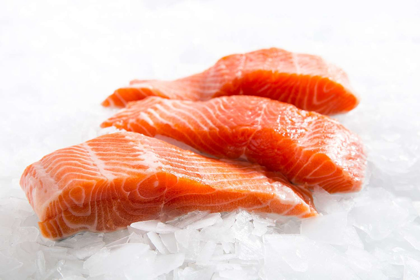 Fresh Salmon